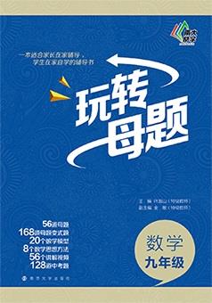 玩转母题·九年级数学